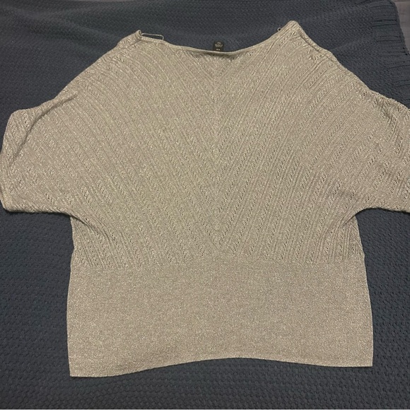 Lane Bryant Silver Grey 18 / 20 Vneck Dolman sleeve sweater top shirt blouse - Picture 6 of 7